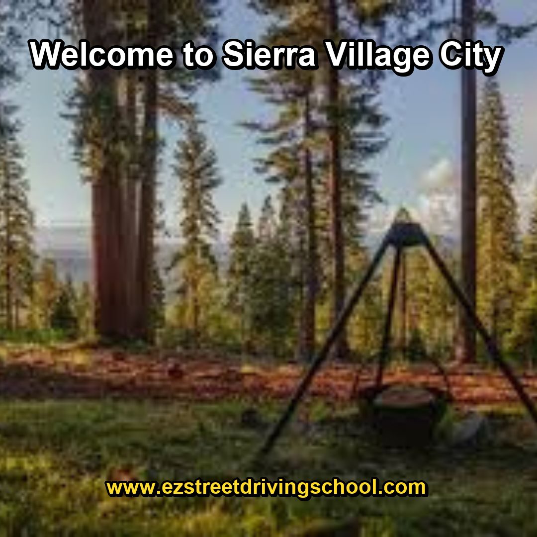 Driving Lessons in Sierra Village
